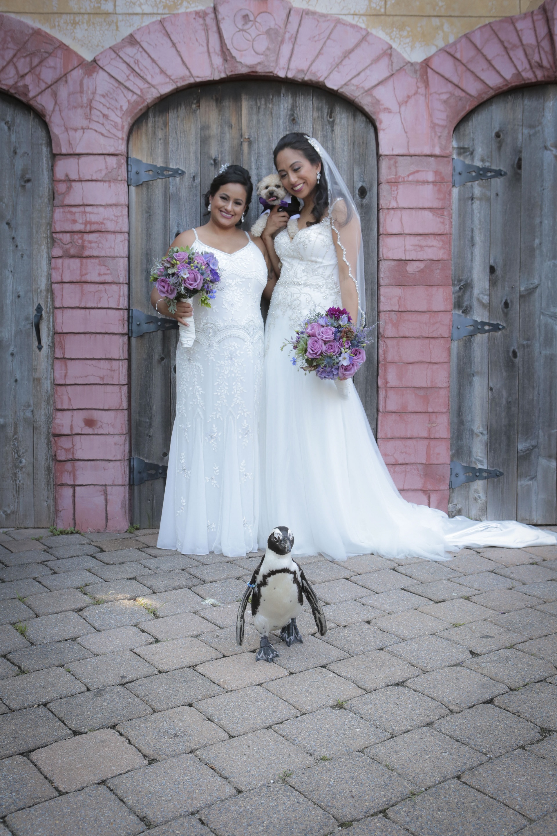 Ladies with Penguin