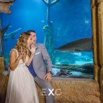 Couple with Shark Photo