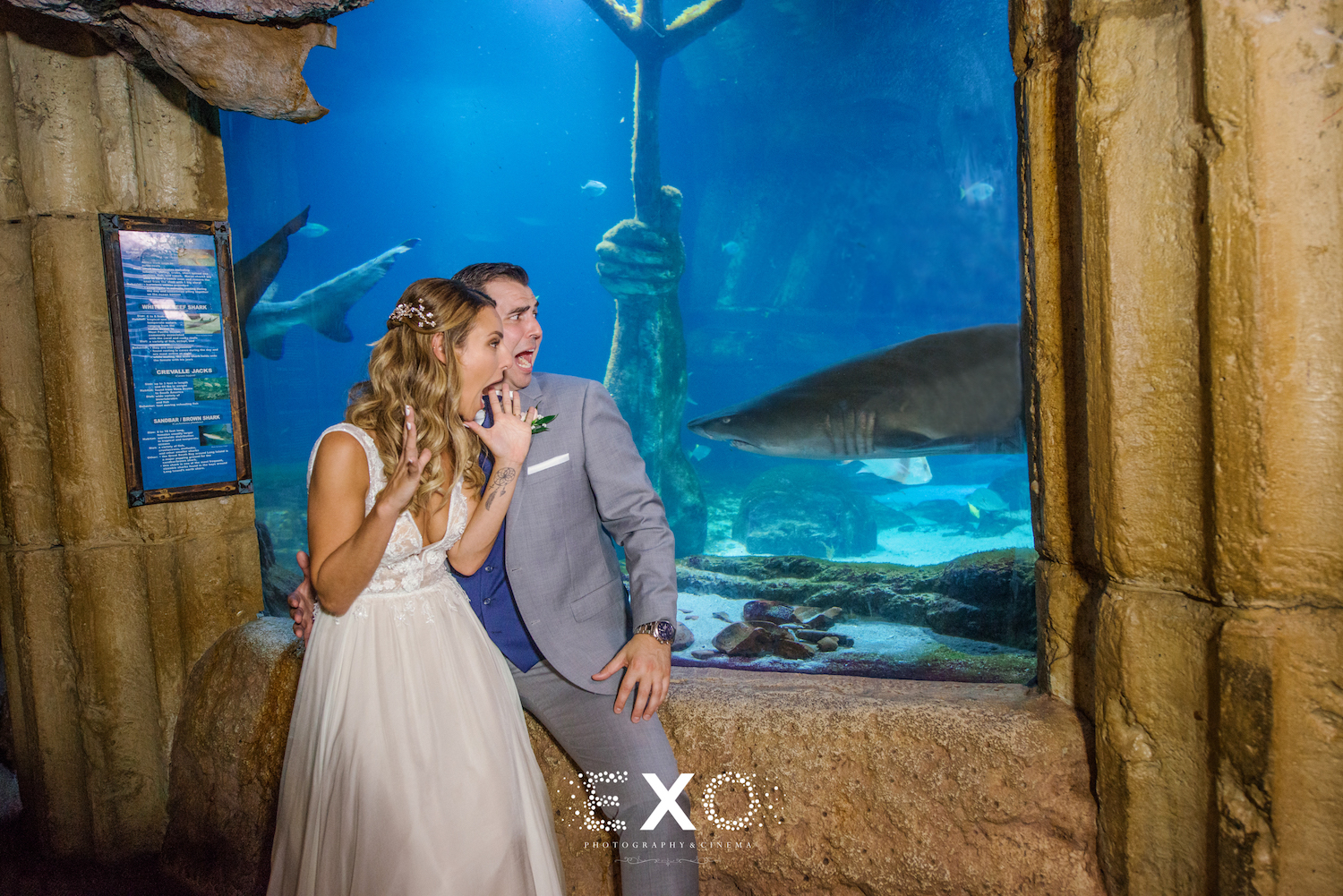 Couple with Shark Photo