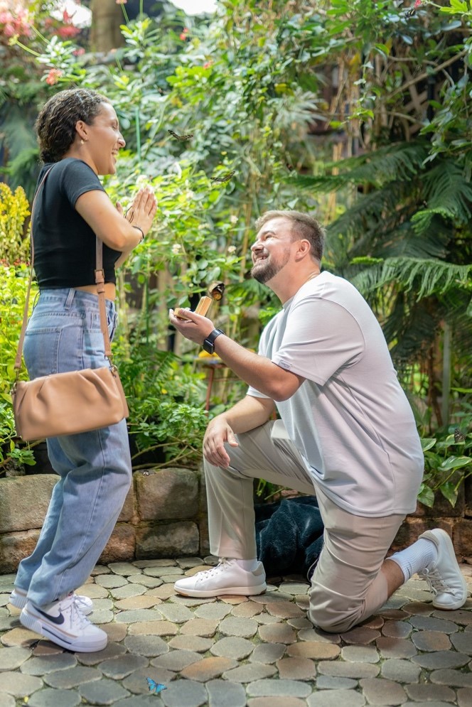 Guest Proposal in the Butterfly Garden