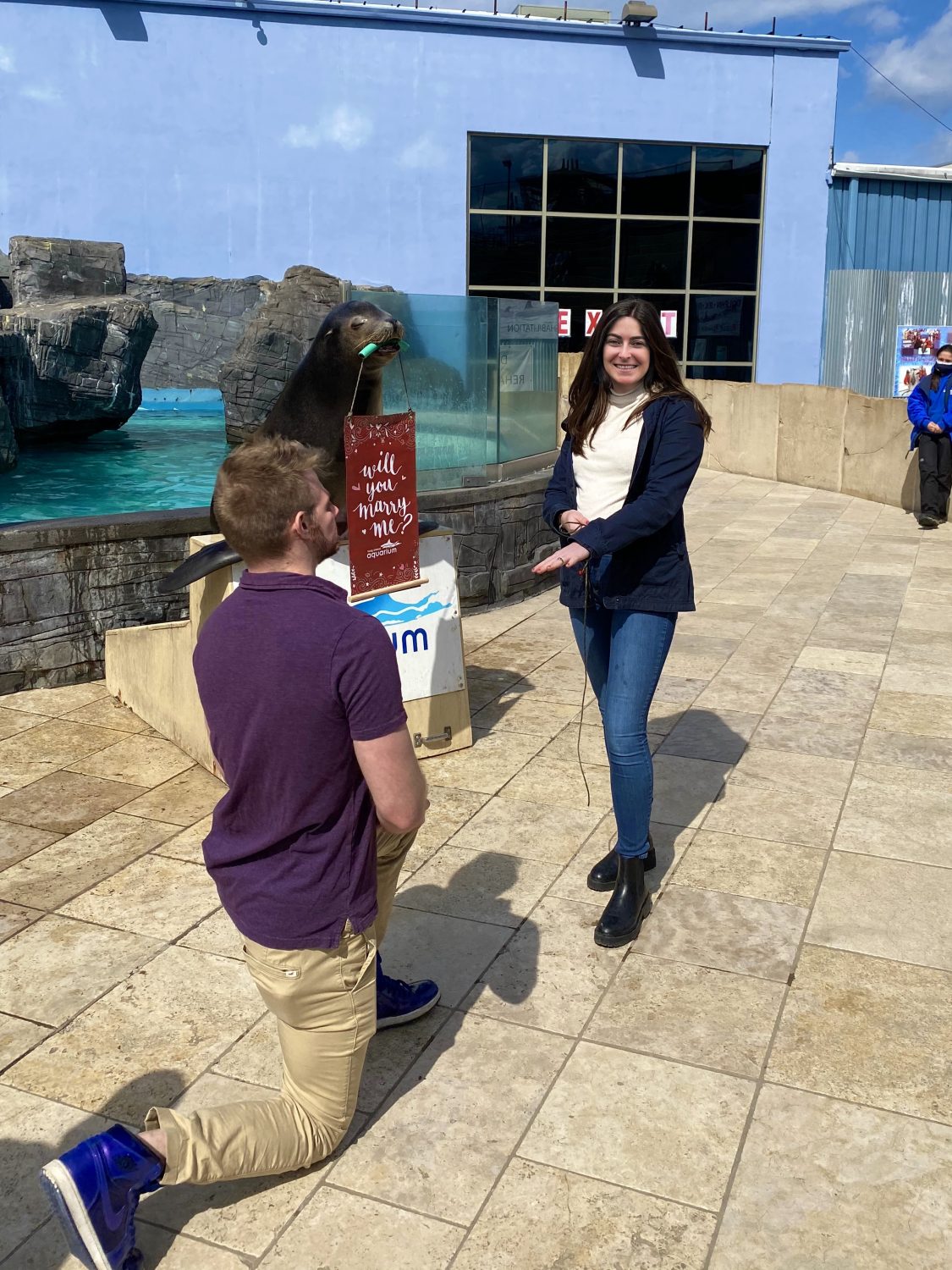 Sea Lion Wedding Proposal No Masks