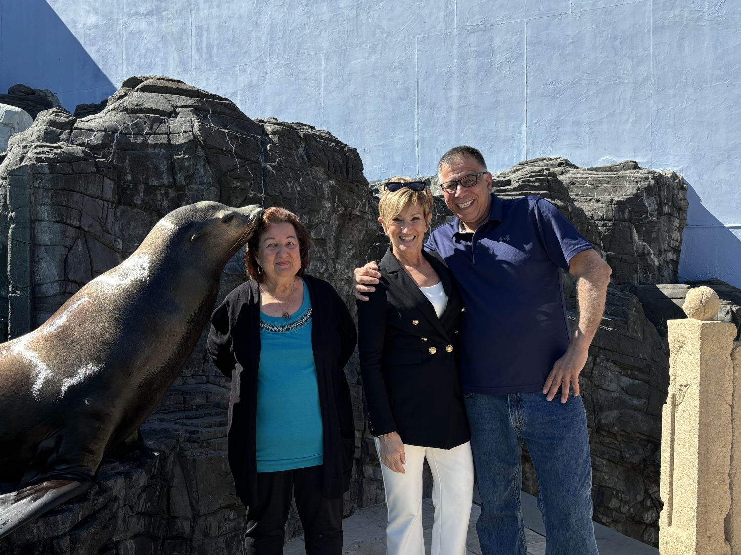 Family Sea Lion Selfie